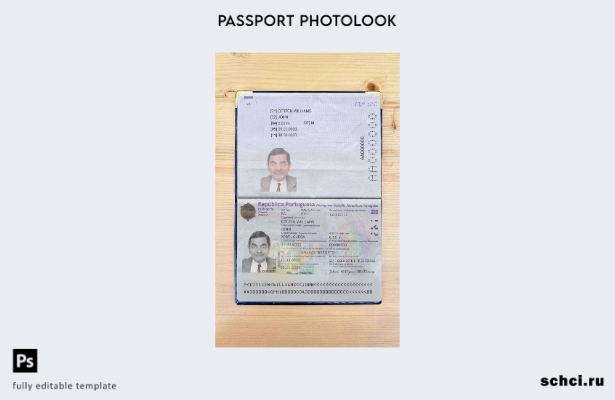 цифровая загрузка Португалия Pass (настоящее время) фото внешний вид шаблона